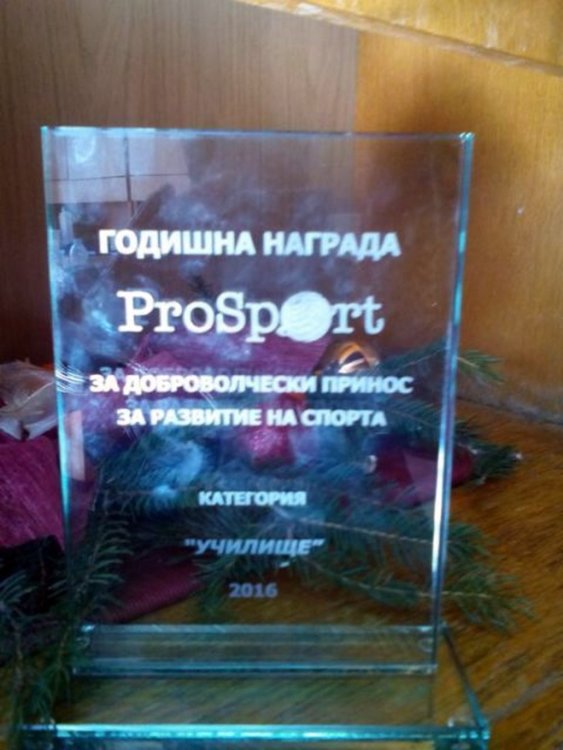 Смолянско училище с награда за развитие на спорта за хора с увреждания