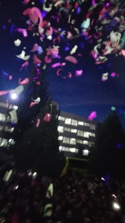 Елхата на "Славейков" грейна - нова, екологична и блестяща