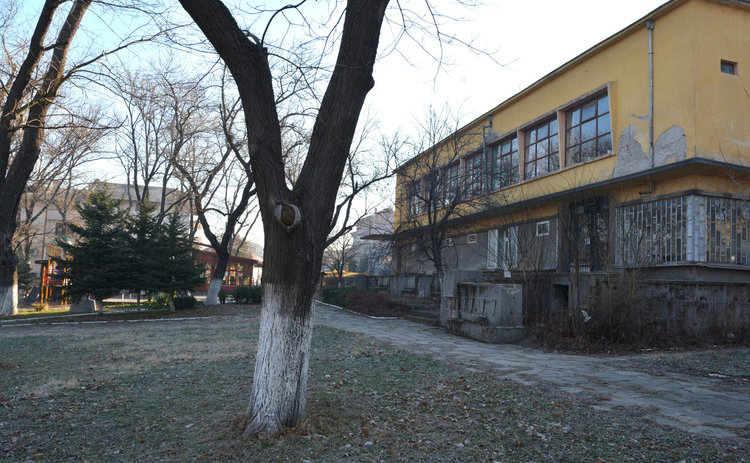 Общината отделя пари за кучешки приют догодина