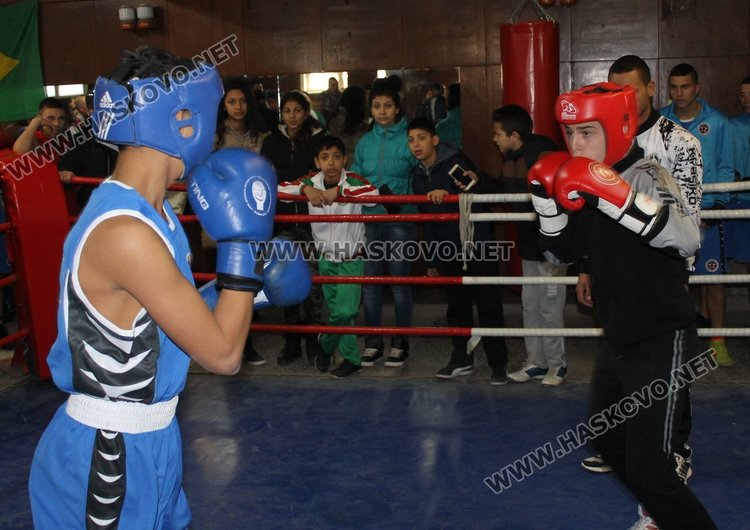 Коледен турнир по бокс организираха в Димитровград