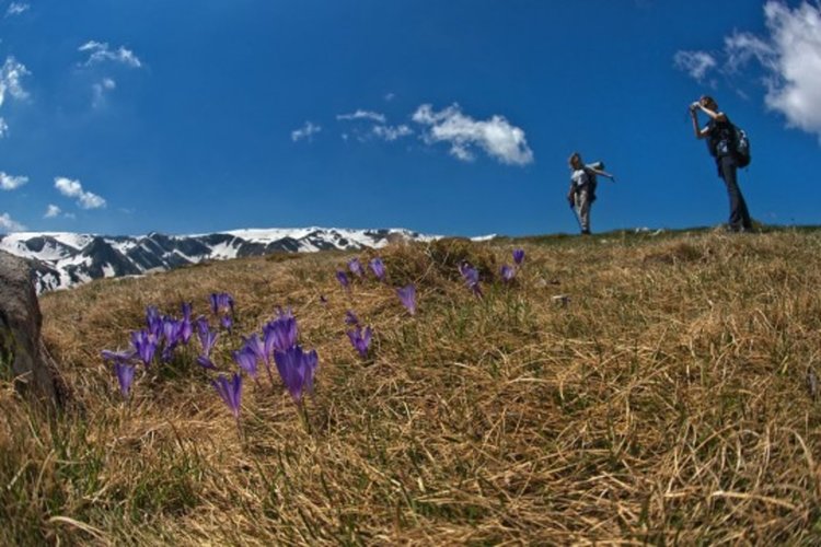 Топла събота със слънчеви лъчи