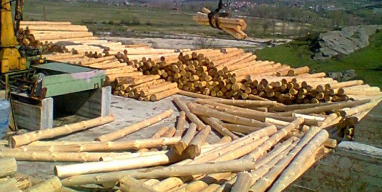 Южноцентрално държавно предприятие дари 500 кубични метра дървесина в помощ на пострадалите жители на Хитрино