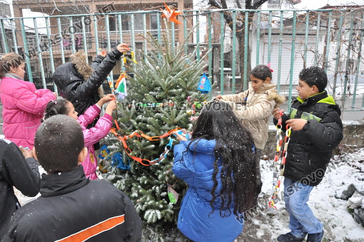 Две рожденички - директор и 3-класничка, засадиха елхата в „Раковски“