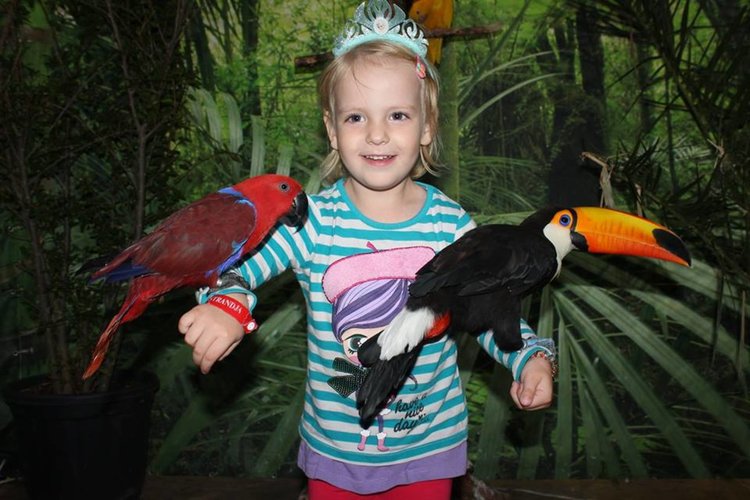 Празнично изложение на екзотични папагали в Арт галерия Кръг