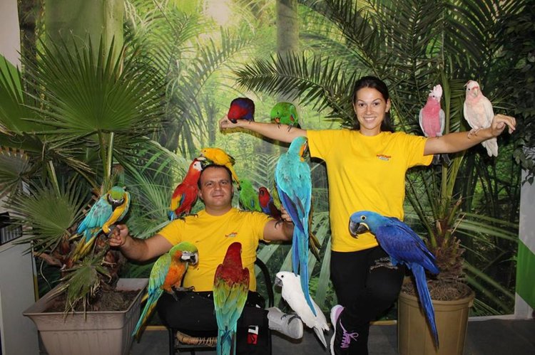 Празнично изложение на екзотични папагали в Арт галерия Кръг