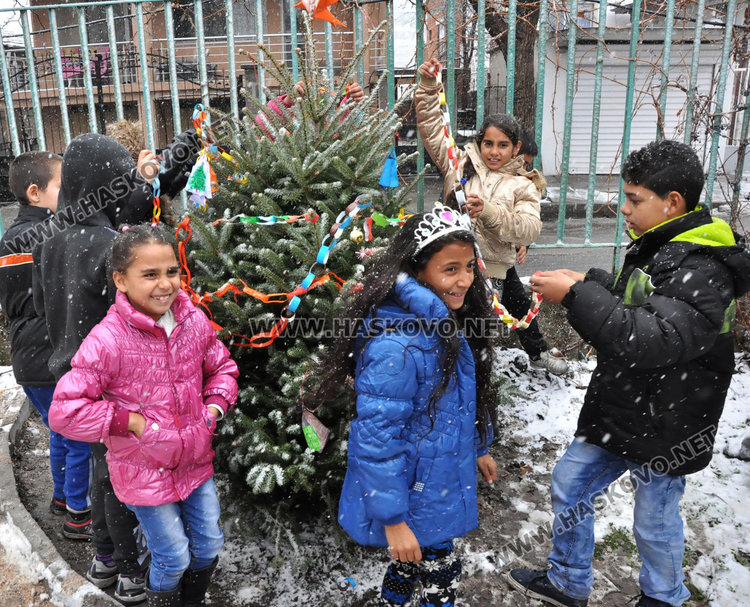 Две рожденички - директор и 3-класничка, засадиха елхата в „Раковски“