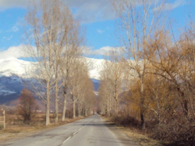 Топола премаза кола, шофьорката оцеля по чудо