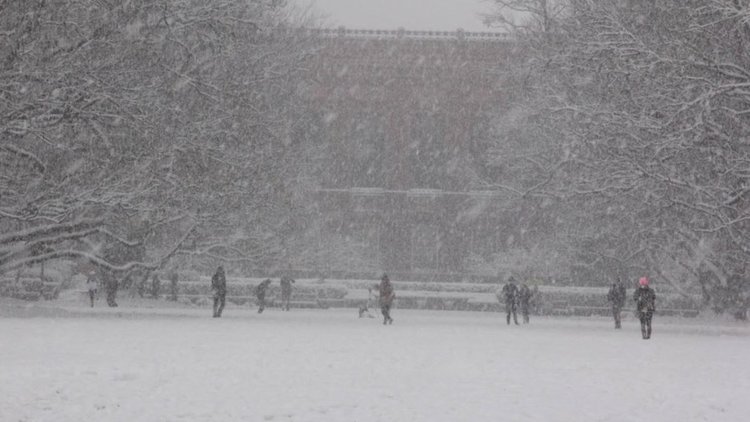 Мощна снежна буря връхлетя щата Орегон 
