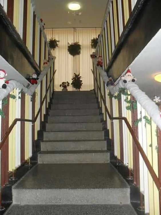 Част от Коледната украса в градина "Роза"