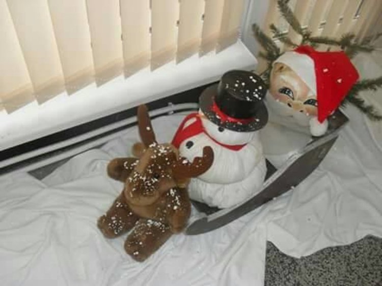 Детска градина "Роза"