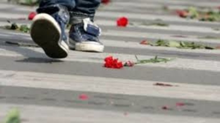 42-годишна жена загина на пешеходна пътека