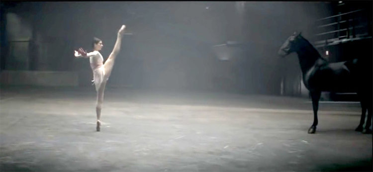 Невероятен кон с четири дами (видео)