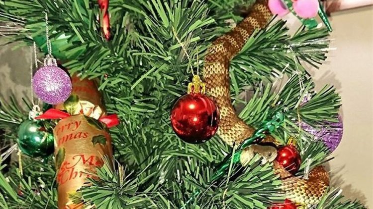 Смъртоносна змия се маскира като гирлянд на коледна елха