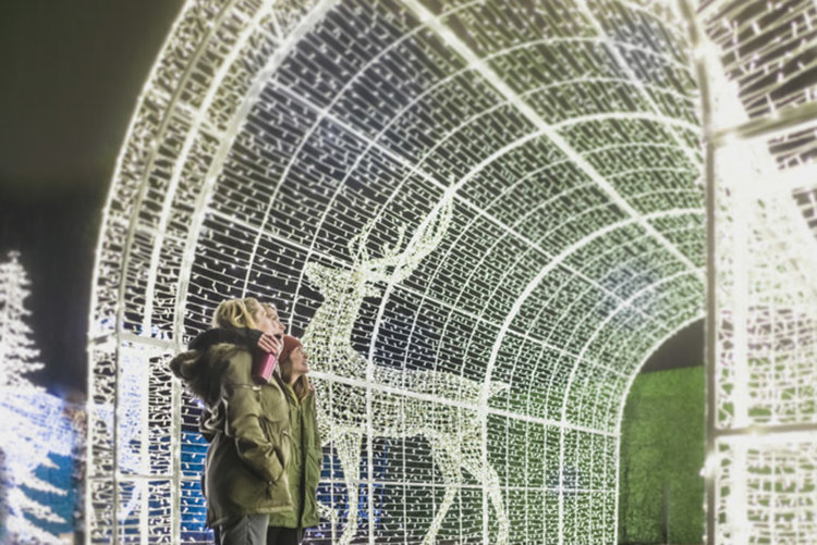 Коледен панаир на светлините във Ванкувър (видео)