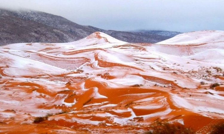 В Сахара заваля сняг за първи път от 37 години (видео)