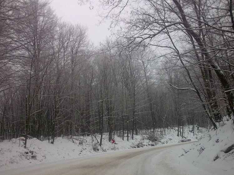 Стотици издирват трима мъже, изчезнали в Родопите