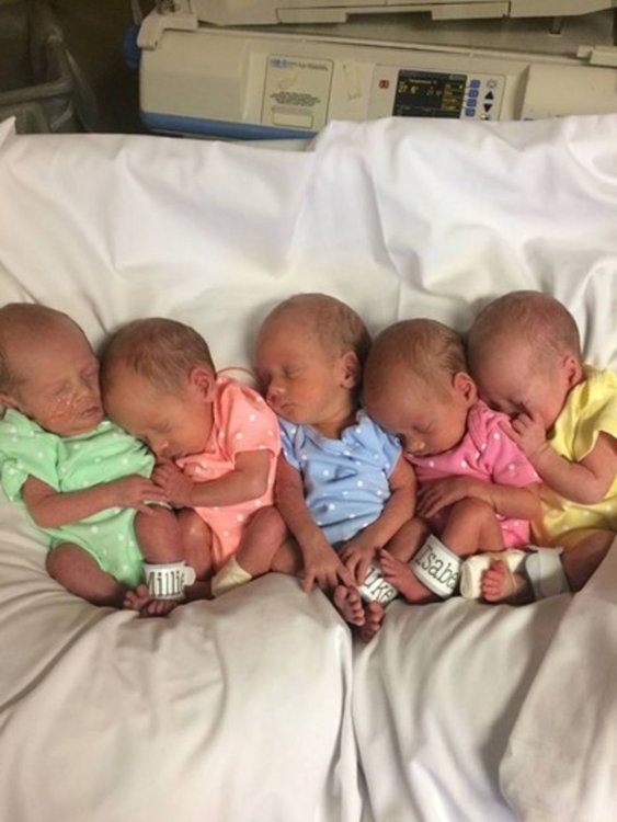 Американка роди 5 близначета за 17 минути  