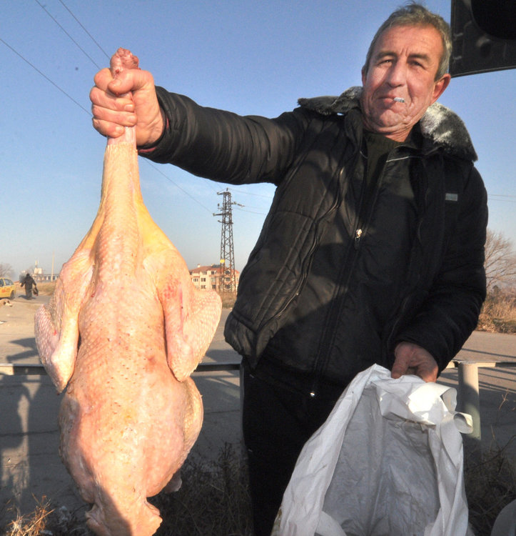 7 лева килото на живите пуйки преди Коледа, заклани и почистени – 9 