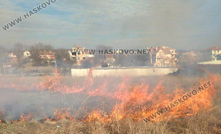 Снимката е от шестокласника Станислав от Бадема