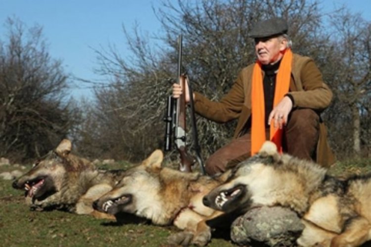 Лютви Местан с улова си