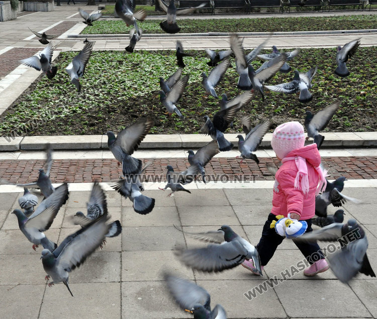 Декемврийското слънце изненада и синоптиците, чака ни уютна Нова година