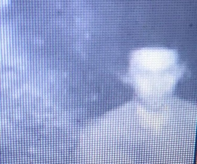 Убиецът от нощния клуб в Истанбул- узбек или киргиз от ИДИЛ   