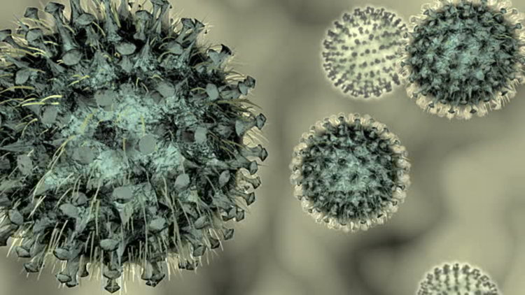 Грипната епидемия в Хърватия взе две жертви