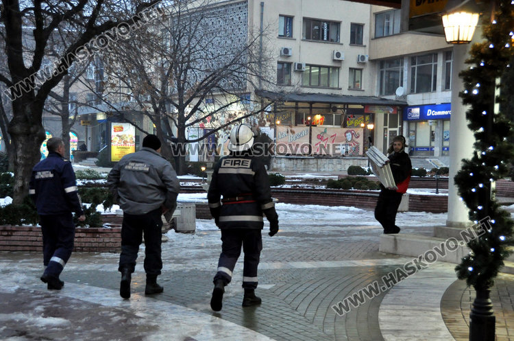 Коте бедства три дни на 8-метрово дърво, пожарната отчита спасяване
