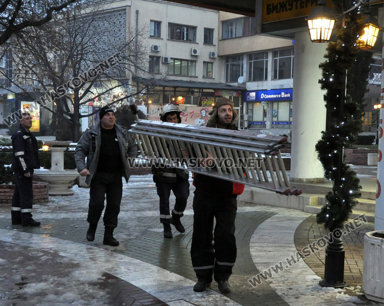 Коте бедства три дни на 8-метрово дърво, пожарната отчита спасяване