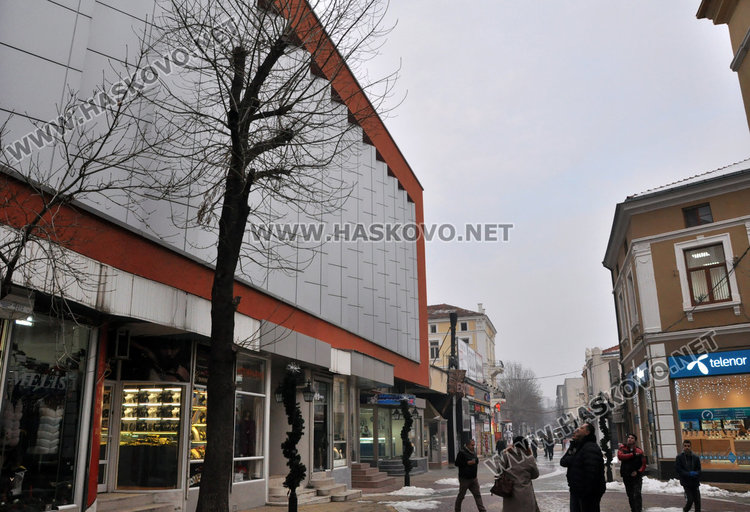 Коте бедства три дни на 8-метрово дърво, пожарната отчита спасяване