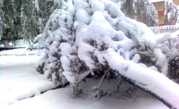 Бъчварова поиска активизиране на областния кризисен щаб,заради очаквания сняг