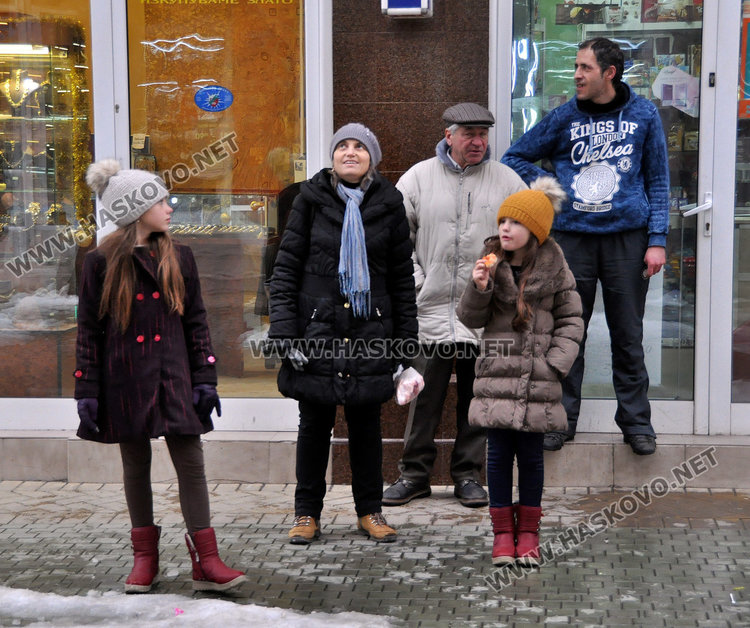 Коте бедства три дни на 8-метрово дърво, пожарната отчита спасяване