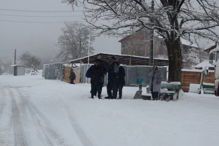 Пътят Ардино – Кърджали проходим, над 20 см сняг на Далджа