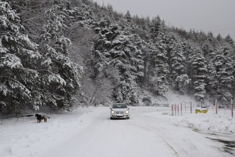 Пътят Ардино – Кърджали проходим, над 20 см сняг на Далджа
