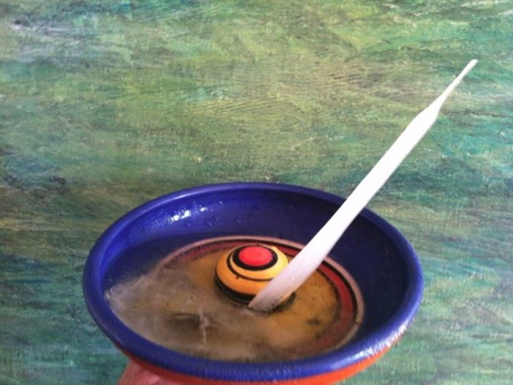 Рядък леден шип щръкна заради минусовите температури (видео)