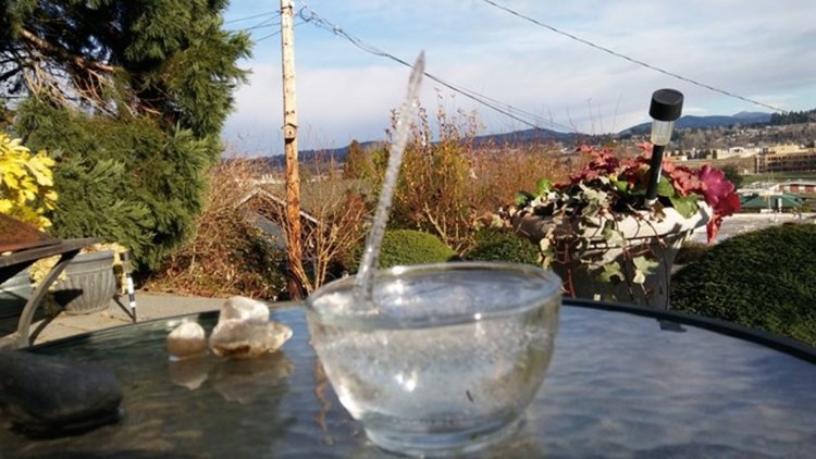 Рядък леден шип щръкна заради минусовите температури (видео)