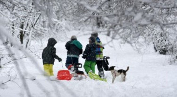 Студът удължи ваканцията, утре ще е неучебен ден
