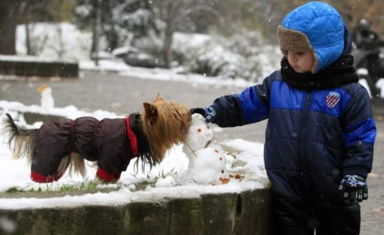 В Черноочене няма да ходят на училище на 9, 10 и 11-и януари заради студа