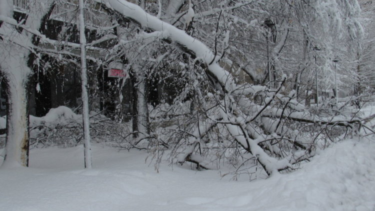 Жителите на село Церовица са пет дни без хляб