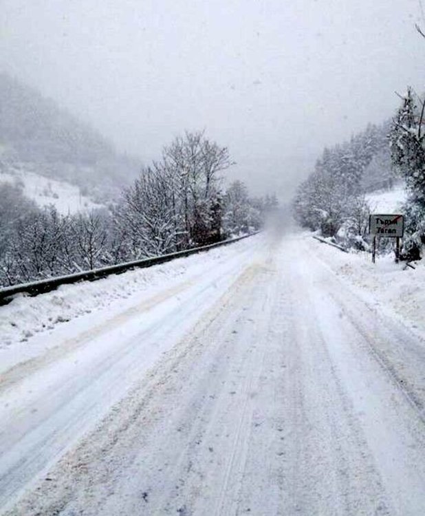 Пътят преди село Търън