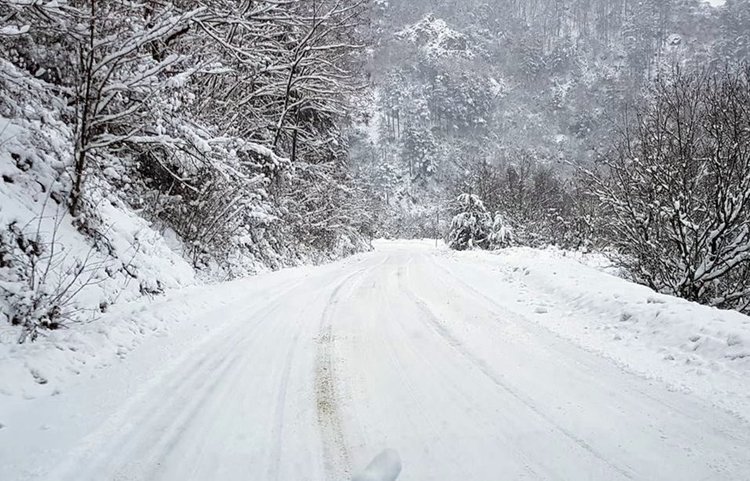 Прохода Печинско над Златоград