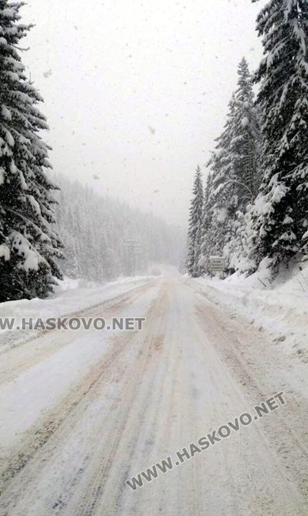 Пътят за Търън