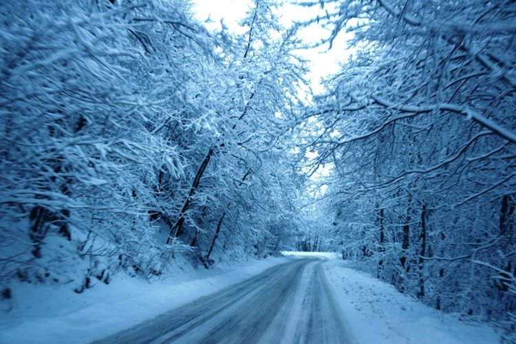 Илия Илиев: На територията на цялата област има валежи от сняг, няма бедстващи хора