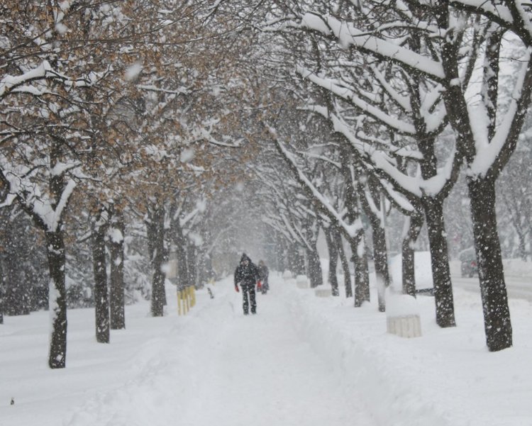 Очаква се снеговалежът да продължи и през нощта