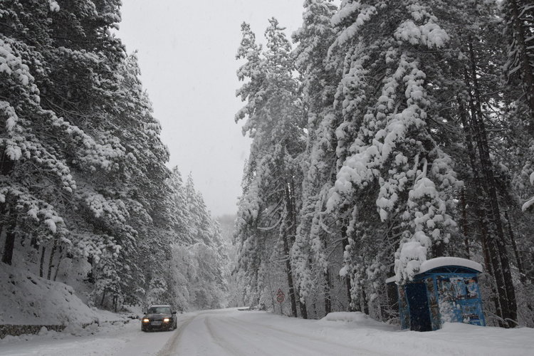 Пътят Ардино – Кърджали проходим при зимни условия, над 30 см сняг на Далджа