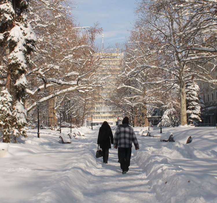 Иво Димов: Разчиства се снега по второстепенните улици в Димитровград