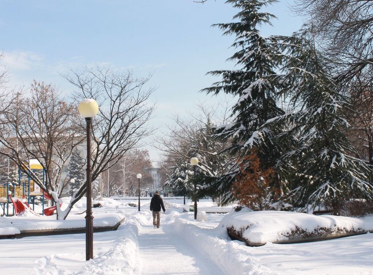 Иво Димов: Разчиства се снега по второстепенните улици в Димитровград