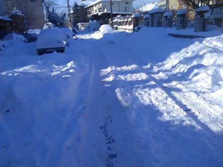 Снимка -Живка Христова