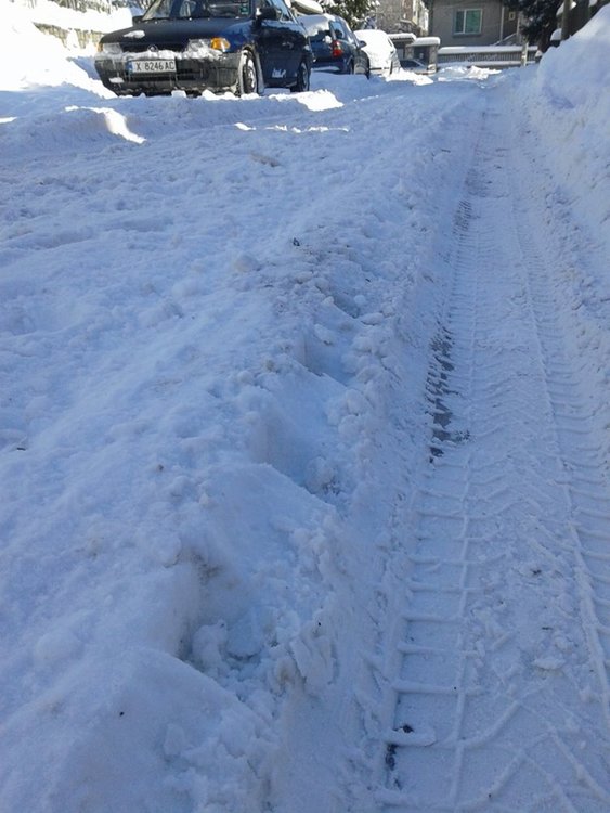 Снимка -Георги Колев