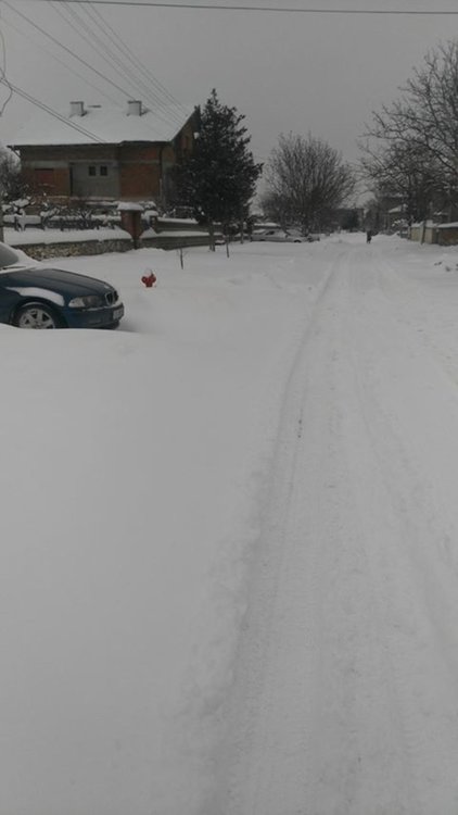 Снегът превзе Димитровград, общината и...Фейсбук